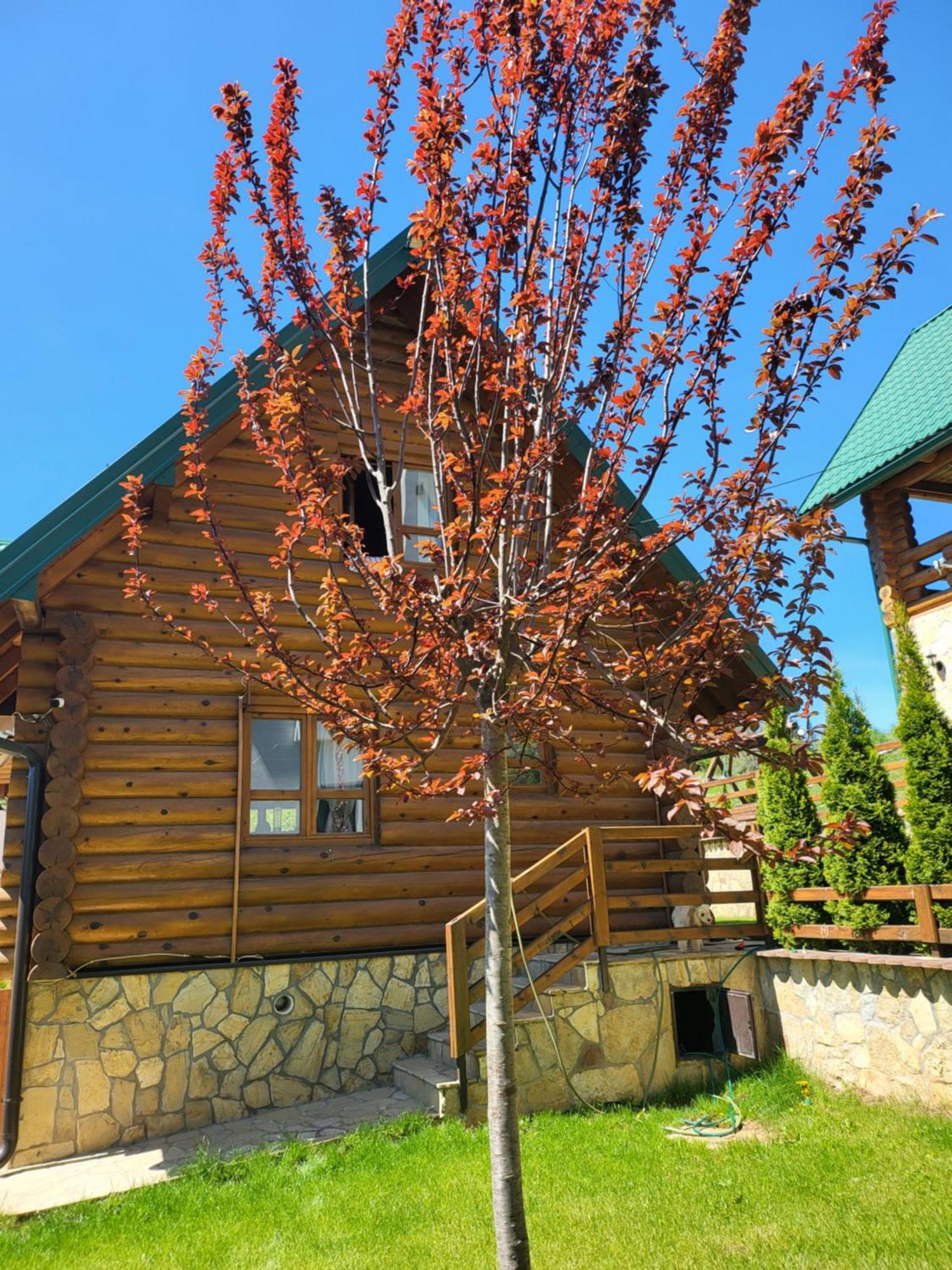 Zlatar Luxury Chalet - Trace Of Nature 2214 Nova Varos Exterior photo